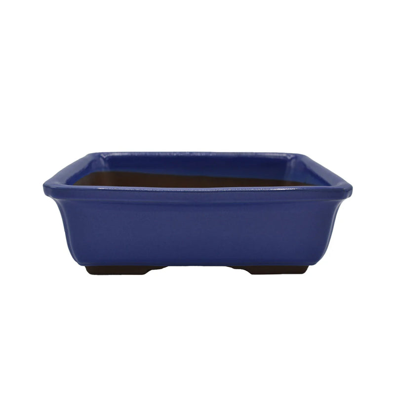 Rectangular pot for Bonsai