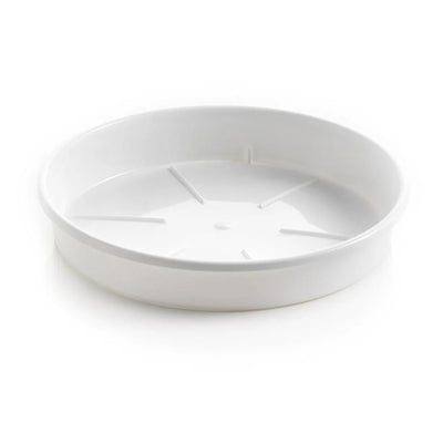 Plato Teraplast saucer