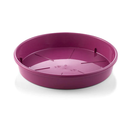 Plato Teraplast saucer