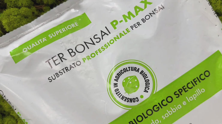 Kalapanta - Terriccio Bonsai P-MAX - Sacco da 2 Litri – Bloome